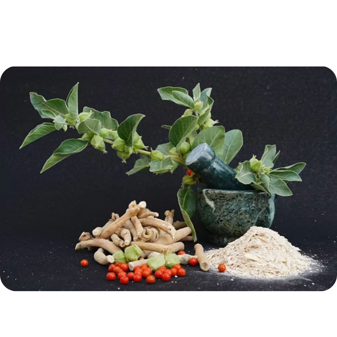 2 X 1 ZenBoost Producto Tendencia más vendido